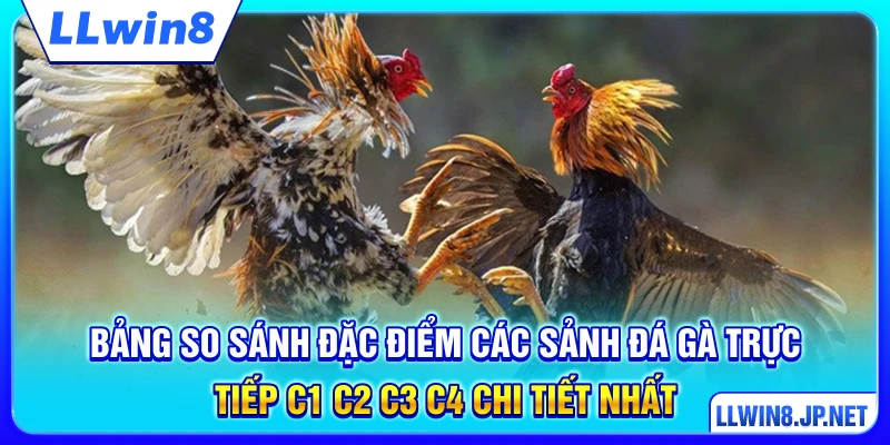 Bảng so sánh đặc điểm các sảnh đá gà trực tiếp C1 C2 C3 C4 chi tiết nhất