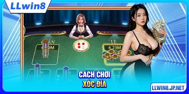 Cách Chơi Xóc Đĩa - Hướng Dẫn Chi Tiết Từ A Đến Z Tại LLWIN