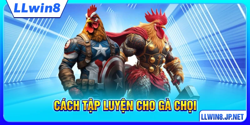 Cách Tập Luyện Cho Gà Chọi – Khoa Học Cho Từng Giai Đoạn