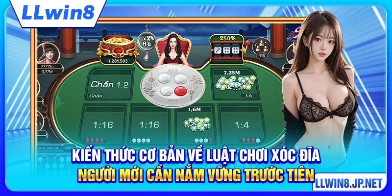 Kiến thức cơ bản về luật chơi xóc đĩa người mới cần nắm vững trước tiên