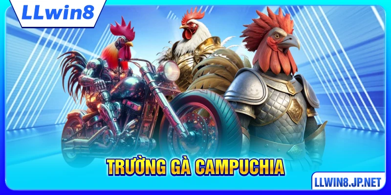 Trường Gà Campuchia - Đấu Trường Top 1 Đông Nam Á